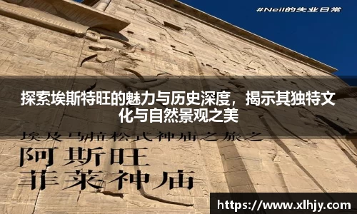 熊猫体育官网平台